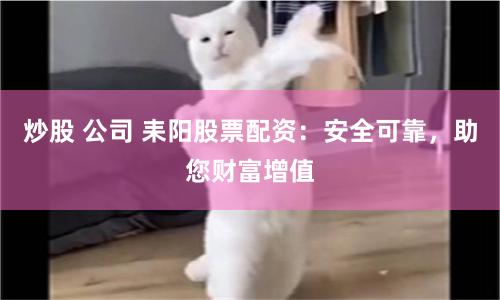 炒股 公司 耒阳股票配资：安全可靠，助您财富增值