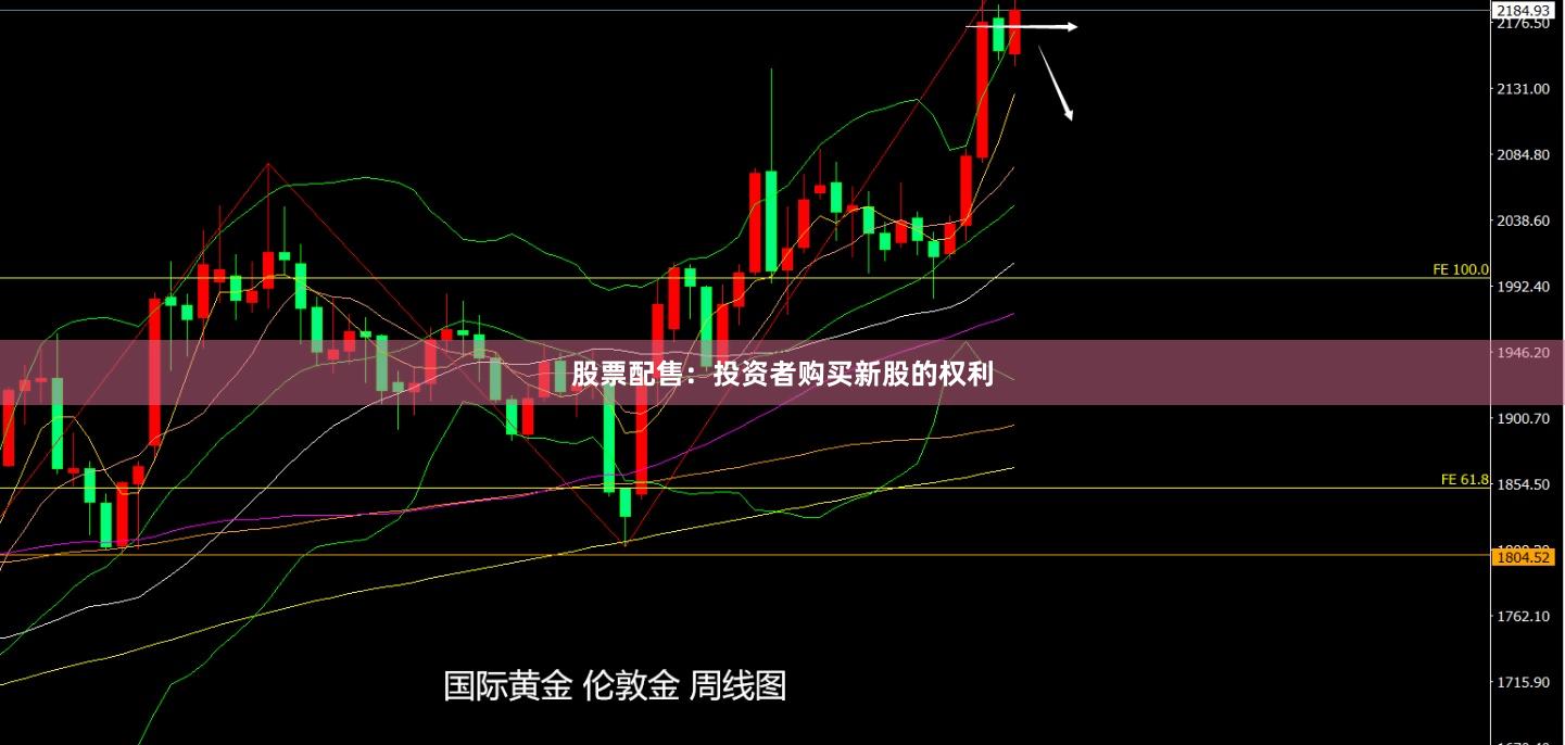 股票配售：投资者购买新股的权利