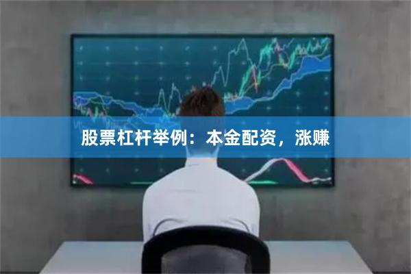 股票杠杆举例：本金配资，涨赚