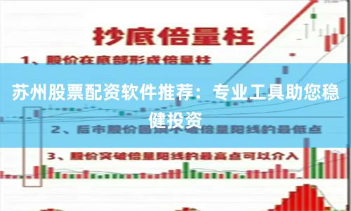 苏州股票配资软件推荐：专业工具助您稳健投资