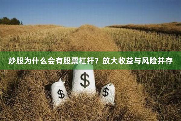 炒股为什么会有股票杠杆？放大收益与风险并存
